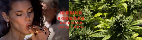 каннабис Алексеевка